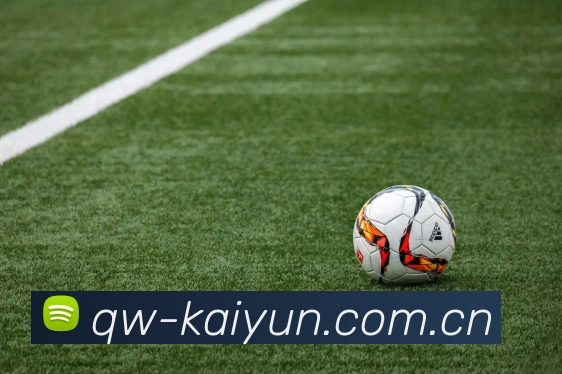 功能亮点 - 开云(中国)Kaiyun·官方网站 - 登录入口